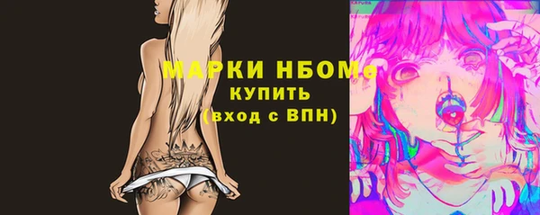 крисы Армянск