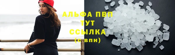 крисы Армянск