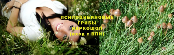 ECSTASY Алексеевка