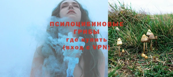 крисы Армянск
