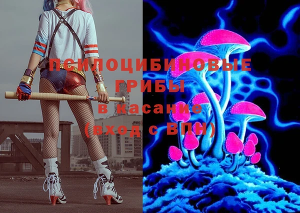 крисы Армянск