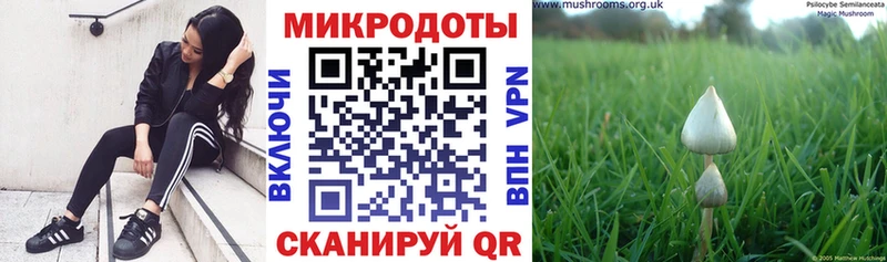 Псилоцибиновые грибы мухоморы  где продают наркотики  мега ссылки  Череповец 